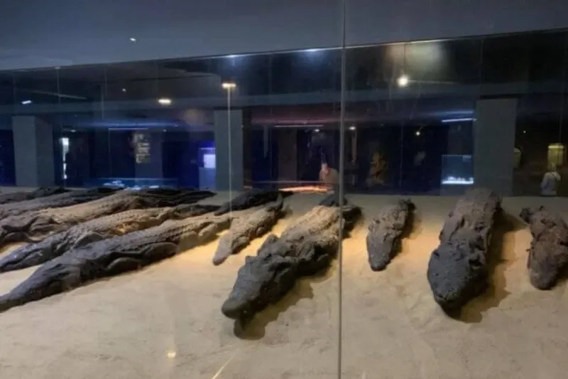 kom ombo sobek: alla scoperta del mistico culto del coccodrillo