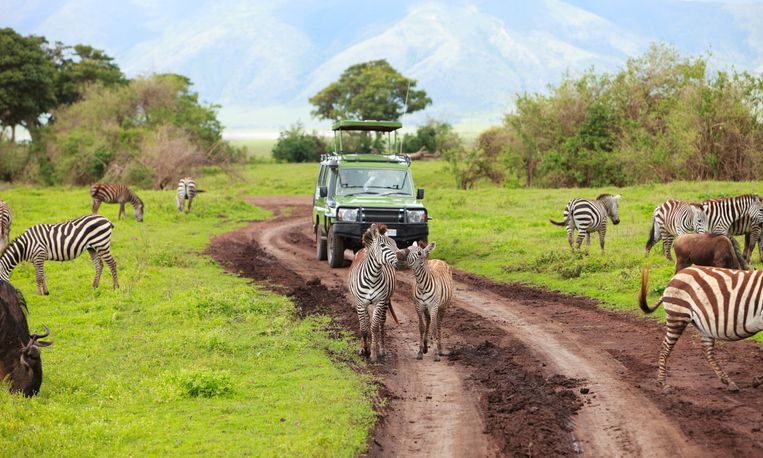 Safari Tanzanie tout compris
