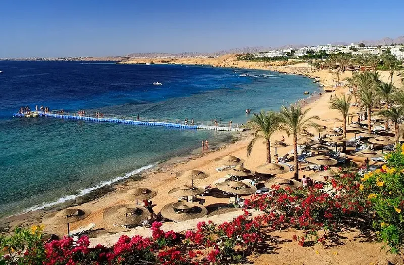 Natale a Sharm el Sheikh tra Naama Bay, Sharks Bay e Nabq Bay