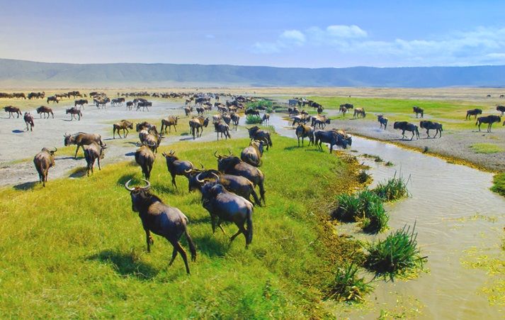 Ngorongoro Conservation Area