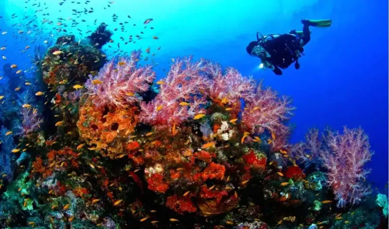 Forfait Le Caire Et Sharm El Sheikh