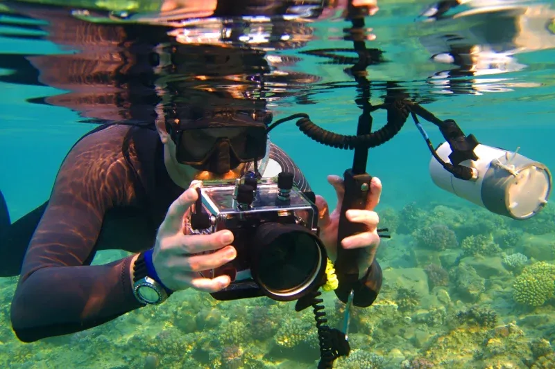 Mare Di Sharm El Sheikh Durante Lo Snorkeling Tra Pesci Tropicali E Coralli
