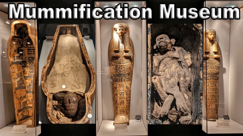 Museo della mummificazione: viaggio nella storia faraonica