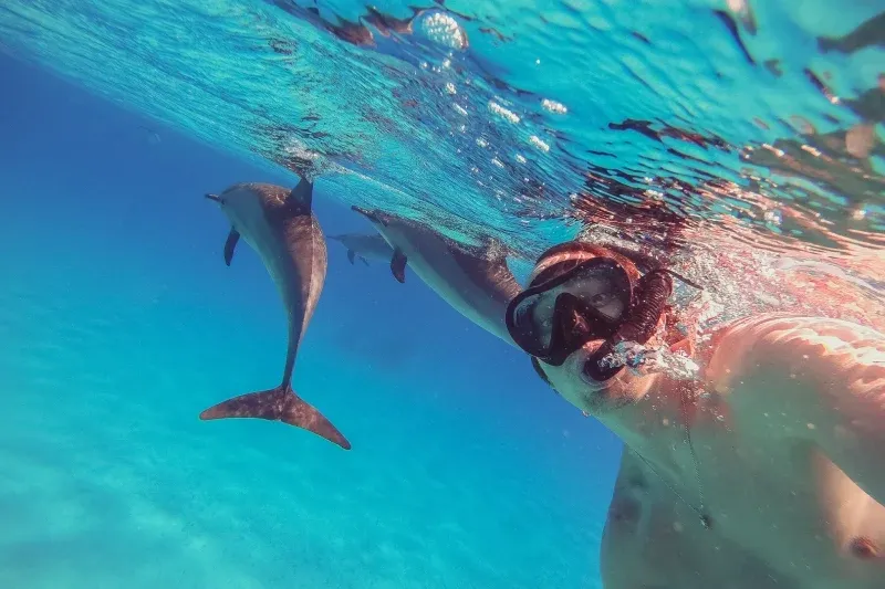 Snorkeling a Dolphin House Marsa Alam