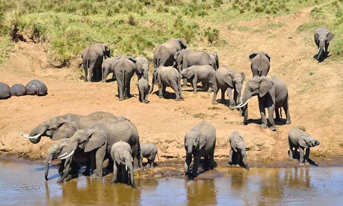 Tour Tanzanie