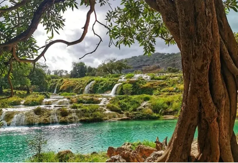 Wadi Darbat, Salalah