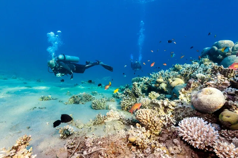 Snorkeling al Blue Hole durante l’Escursione Blue Hole e Dahab da Sharm