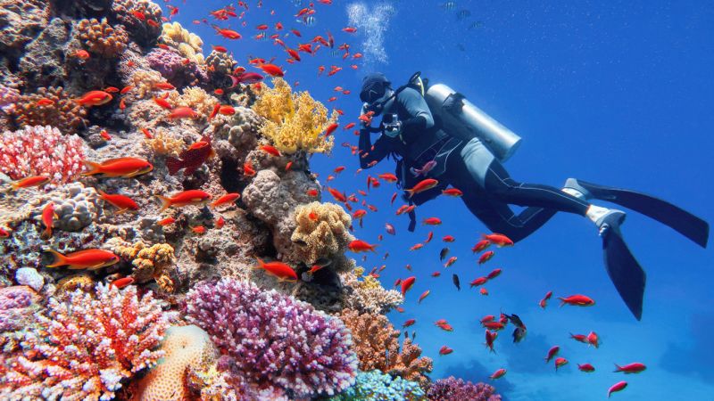 Hurghada ou Sharm El Sheikh : Plages paradisiaques en Égypte
