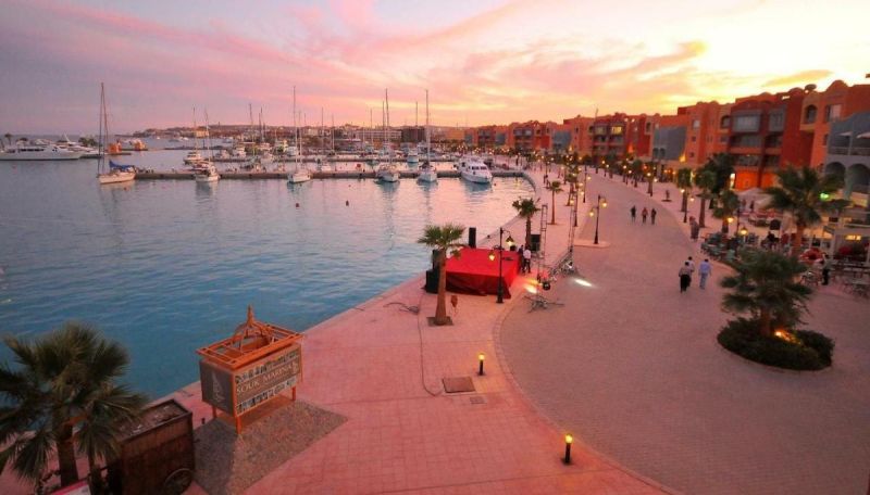 Activité Hurghada : snorkeling au milieu des récifs coralliens colorés