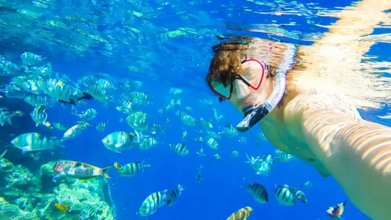 Snorkeling tra pesci tropicali nel Mar Rosso
