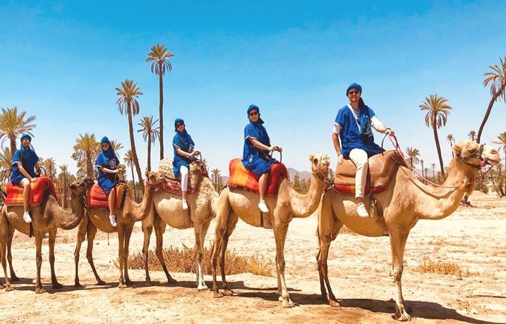 Excursion chameau Marrakech