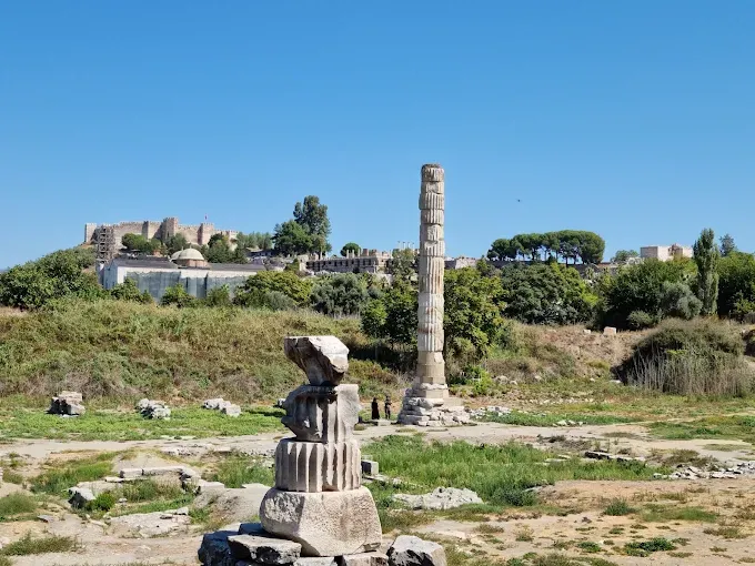 Templo de Artemisa Guía Completa