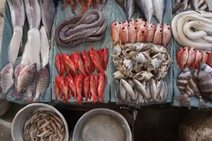 cucina locale Marsa Matrouh pesce fresco Mediterraneo