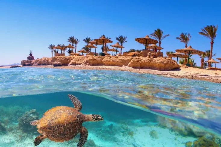 Spiaggia incontaminata di Berenice sul Mar Rosso in Egitto