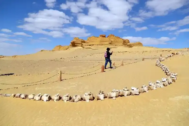 Valle delle Balene fayoum paesaggio desertico