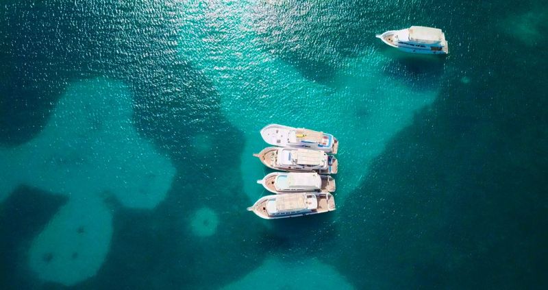 Dahab Sinai 
