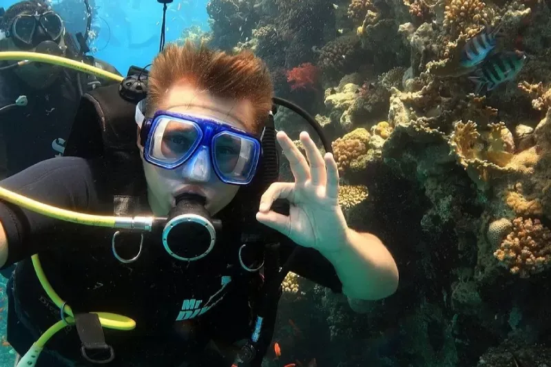 Immersioni nel Mar Rosso tra pesci colorati e barriera corallina