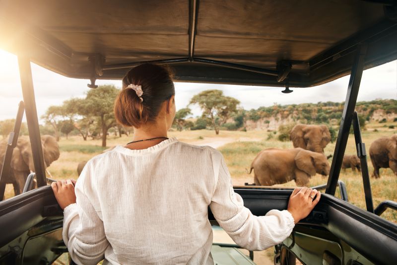 Safari Kenya Luxe