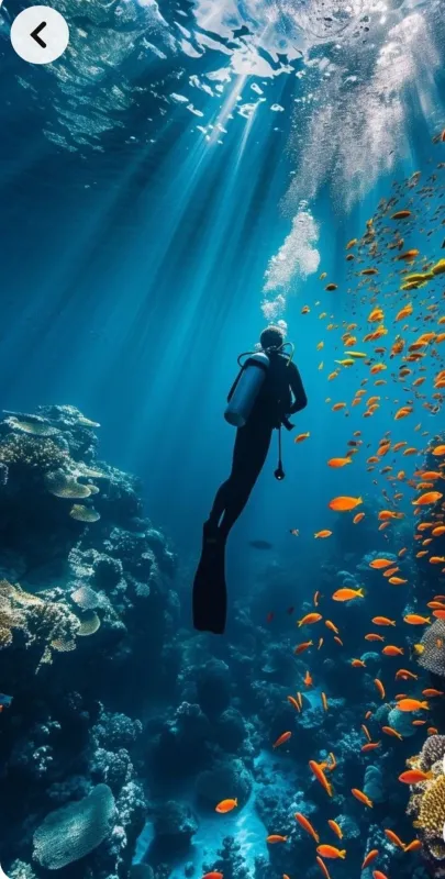 Naden en el Mar Rojo