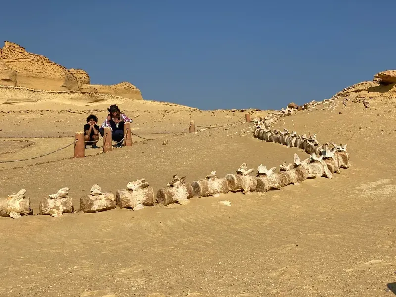Wadi hitan museo naturale a cielo aperto nel Sahara
