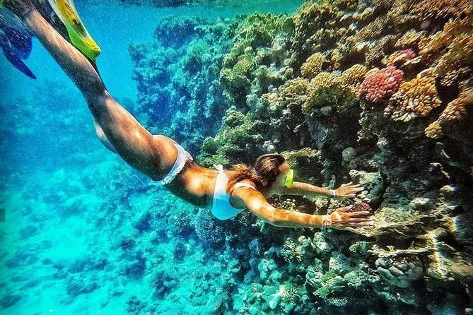 La Belleza del Mar Rojo , Egipto