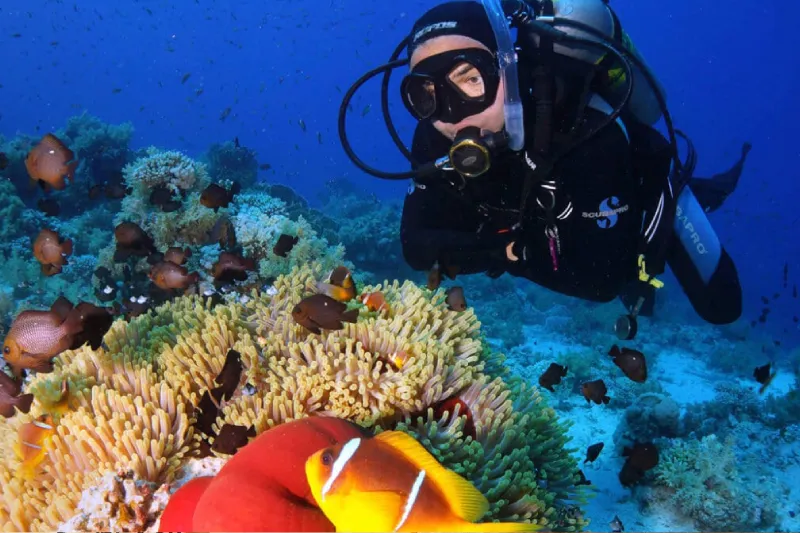 Dove Andare tra Sharm, Hurghada, Marsa Alam, Cairo e Alessandria