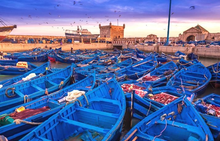 Excursion Essaouira depuis Agadir