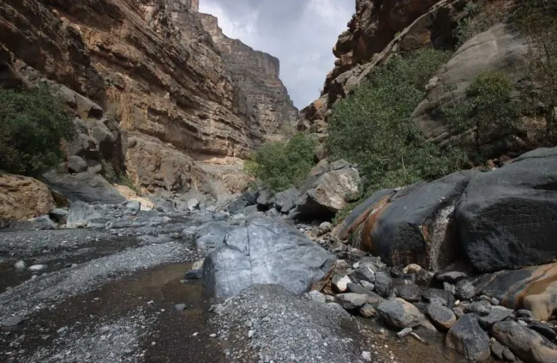 Wadi Nakher Oman