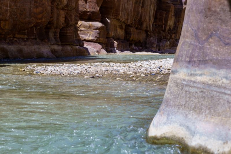Wadi Al Mujib faune flore biodiversité réserve biosphère UNESCO Jordanie