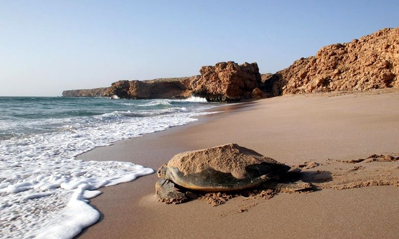 Playa de Ras Al Jinz