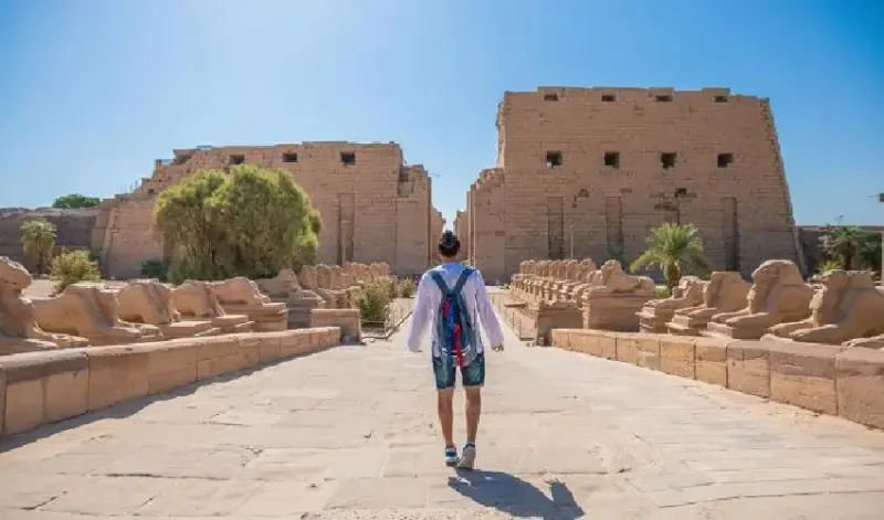 Tour alla Riva Est Luxor: Templi di Karnak e Luxor con guida italiana
