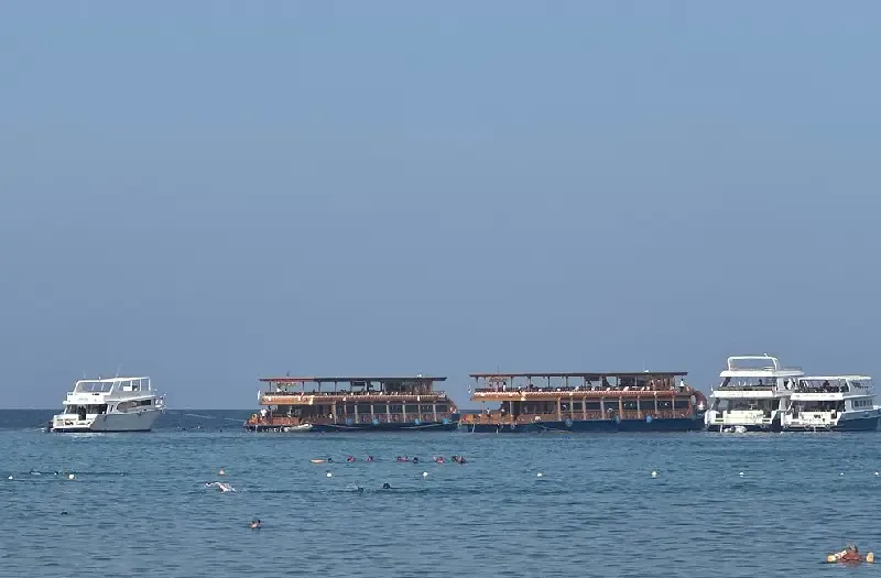 Periodo Migliore per Andare a Marsa Alam: Cosa Fare tra Mare, Natura e Avventur