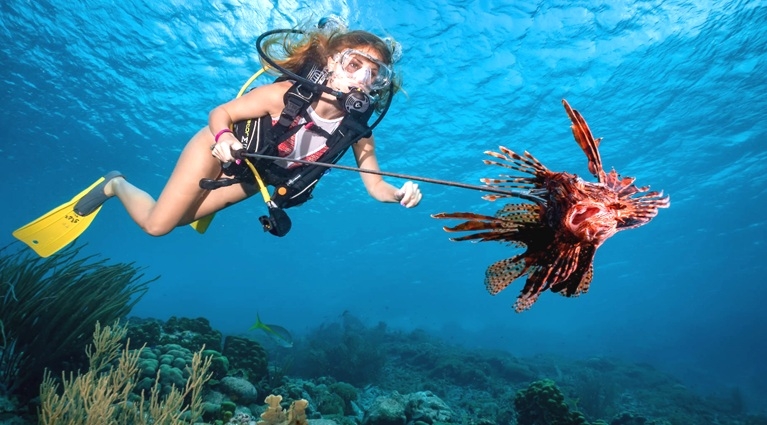 buceo