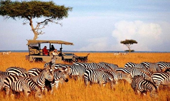 Maasai Mara National Reserve