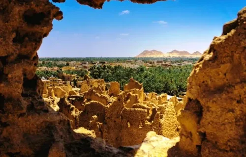 Oasi di Bahariya palmeti e dune