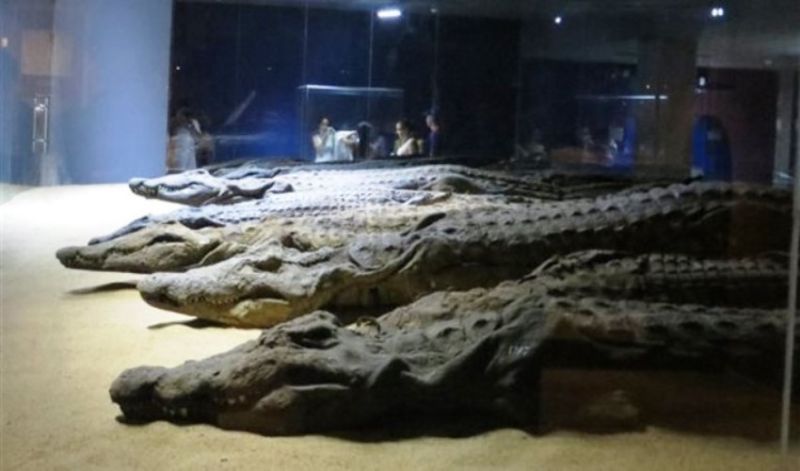 Croisière Louxor Assouan