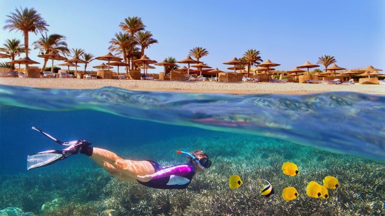 Excursions Sharm El Sheikh : balade à cheval dans le désert du Sinaï