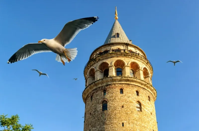 Galata Tower