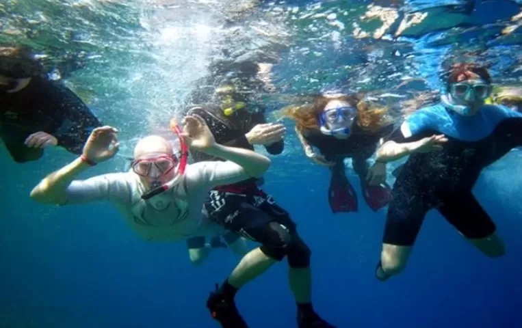 Tiran Island Snorkeling Trip