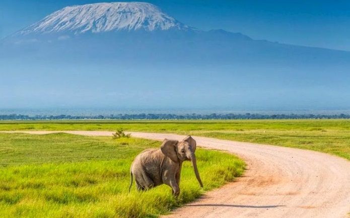 Safari Kenya Luxe