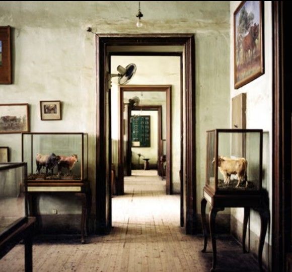 Escena de exposición interior detallada