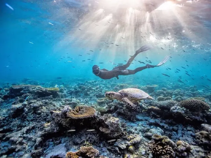 Il Cairo e Sharm el Sheikh con visite a Piramidi, Museo Egizio e relax sulle spiagge dorate del Mar Rosso per una vacanza completa