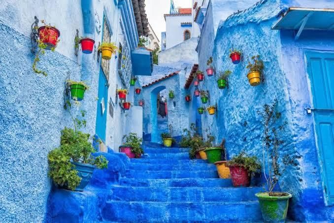 the segret of blue medina 
