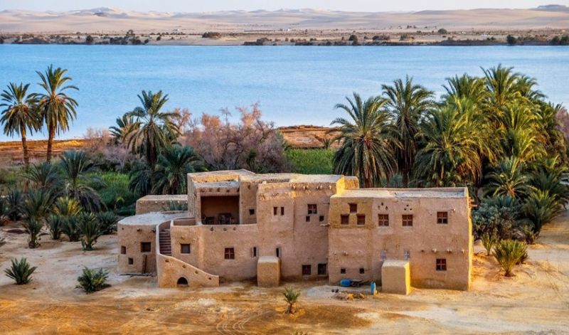 Road trip à l'oasis de Siwa