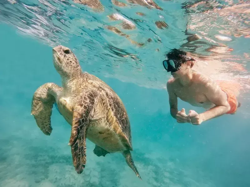 Snorkeling nel Mar Rosso durante una vacanza in Egitto ad agosto.