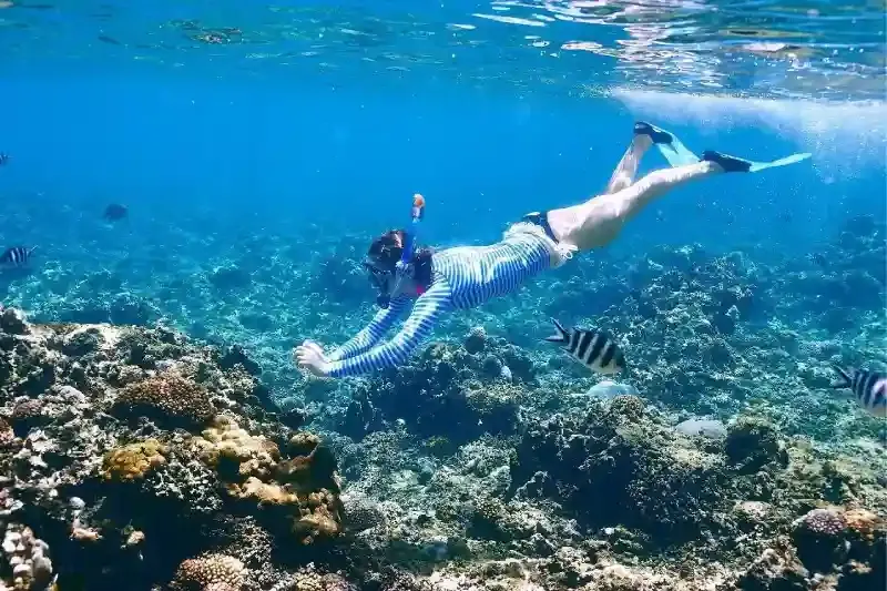 Natale in Egitto Clima e Spiagge nelle località più calde