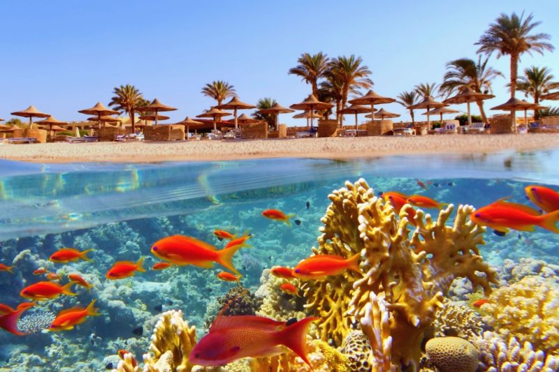Sharm el Sheikh a Capodanno con Baie Turchesi della Penisola del Sinai