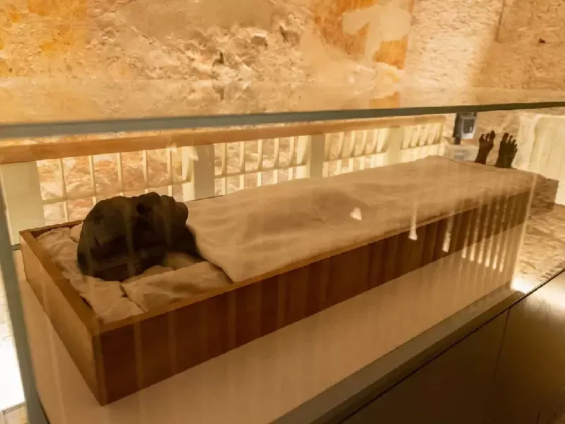 Mummia di Tutankhamon nella camera funeraria della Valle dei Re Mummia di Tutankhamon nella camera funeraria della Valle dei Re