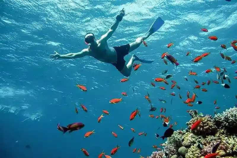 Marsa Alam dove si trova tra deserto e mare cristallino