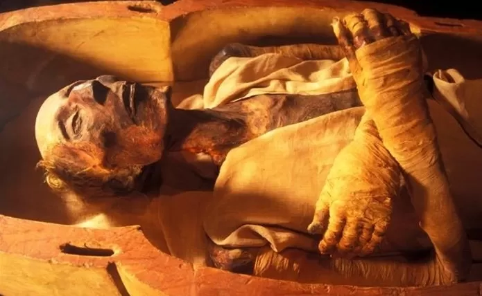 Mummy Room, Egyptian Museum